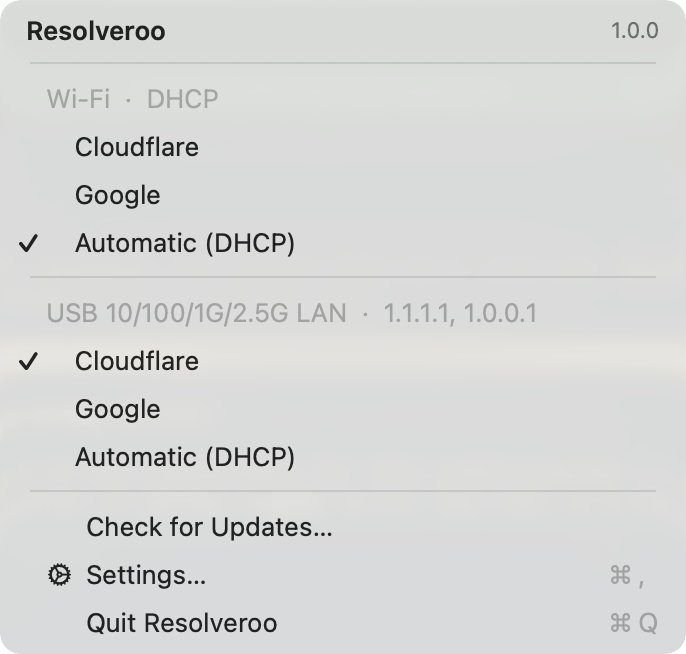 The Resolveroo menu, showing Wi-Fi set to Automatic (DHCP) and a wired connection set to Cloudflare
